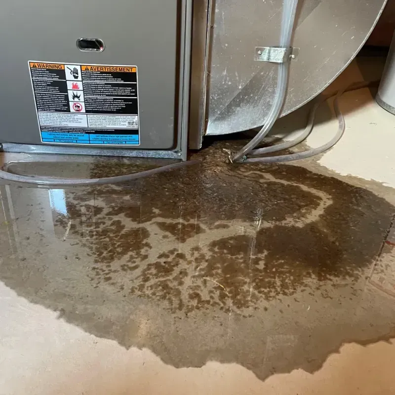 Appliance Leak Cleanup in Newfane, VT